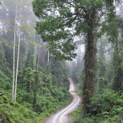 Danum-Valley