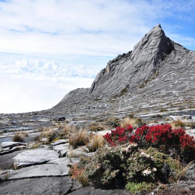 kinabalu