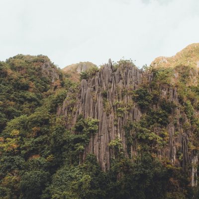 el nido